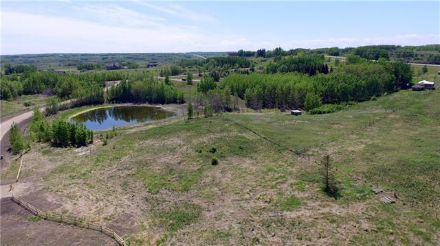Lot 4 Big Hill Springs Meadow - Photo 1
