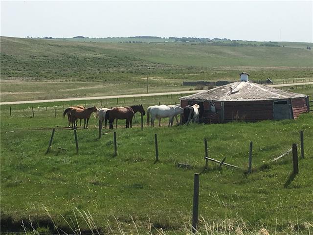 Horse Creek Road - Photo 1