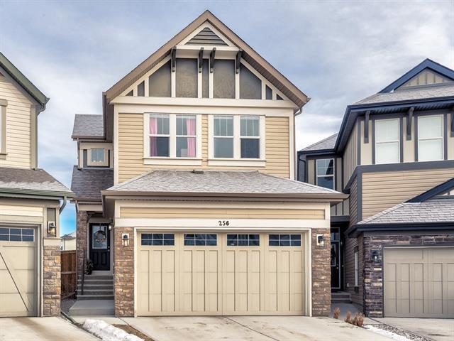 256 Chaparral Valley Mews - Photo 1