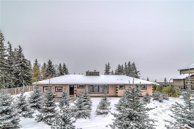 10825 Eamon Road - Photo 1