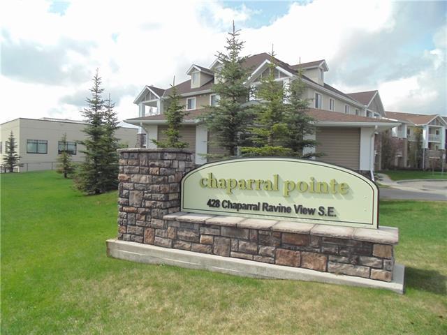 428 Chaparral Ravine View - Photo 1