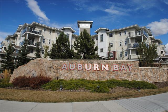 16 Auburn Bay Link - Photo 1