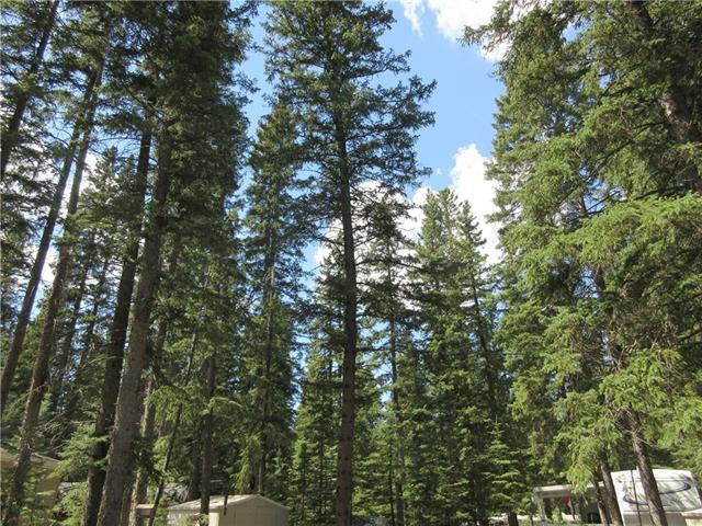 47 Timber Trail - Photo 1