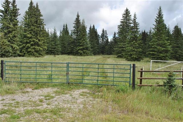 32423 Range Road 60 - Photo 1