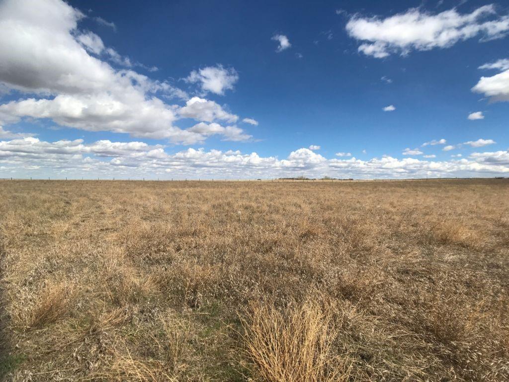 12 - 185006 Rge Rd 220 - Photo 1