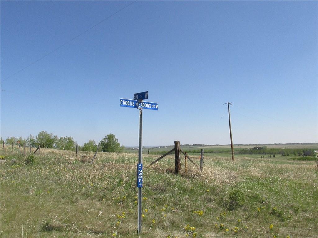 # 19 Crocus Meadows Place - Photo 1