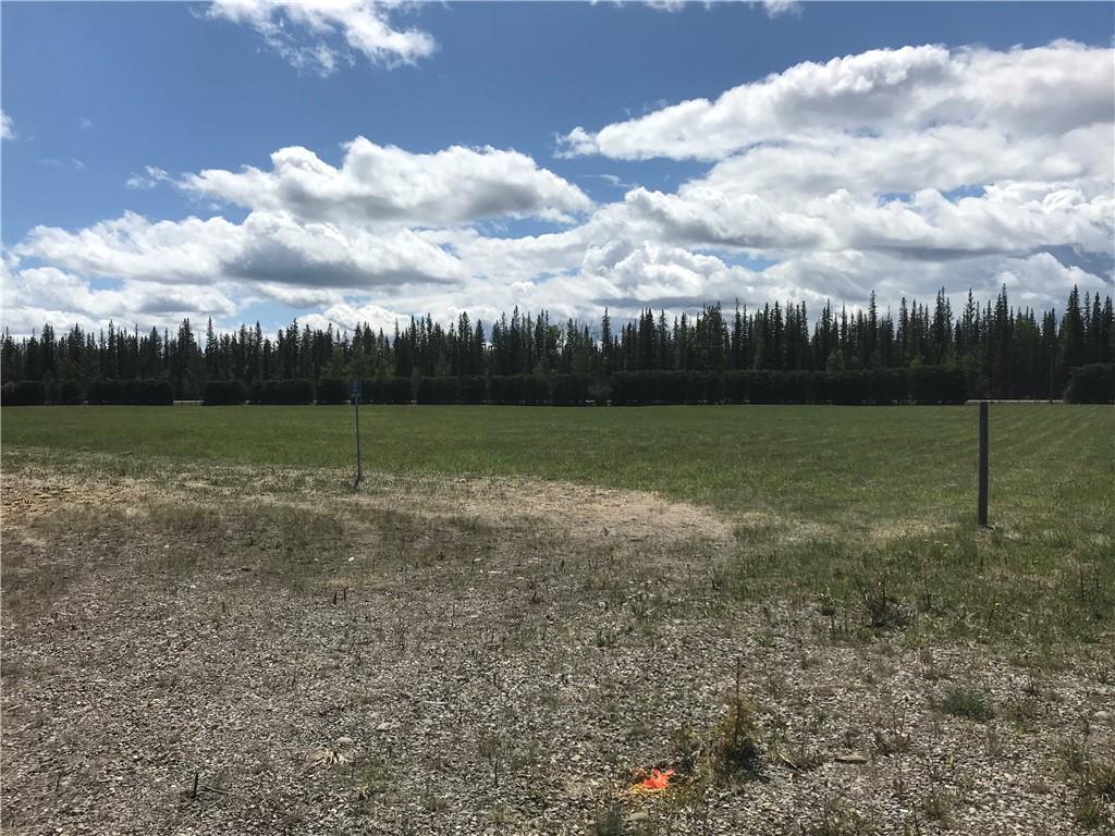 13 West Country Blvd - Photo 1