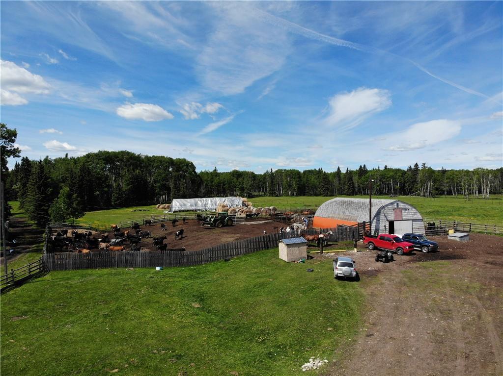 Coal Camp Road - Photo 1