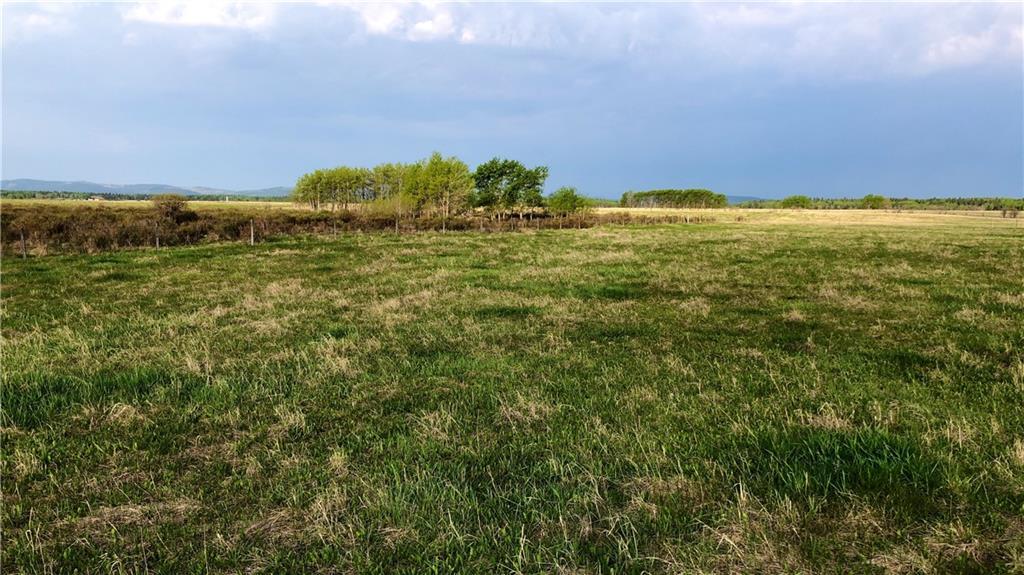 Horse Creek Road - Photo 1