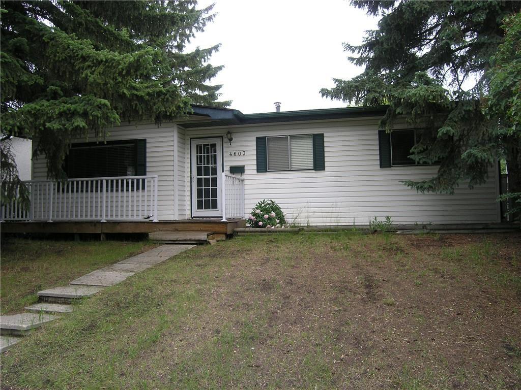 4603 Brisebois Drive - Photo 1