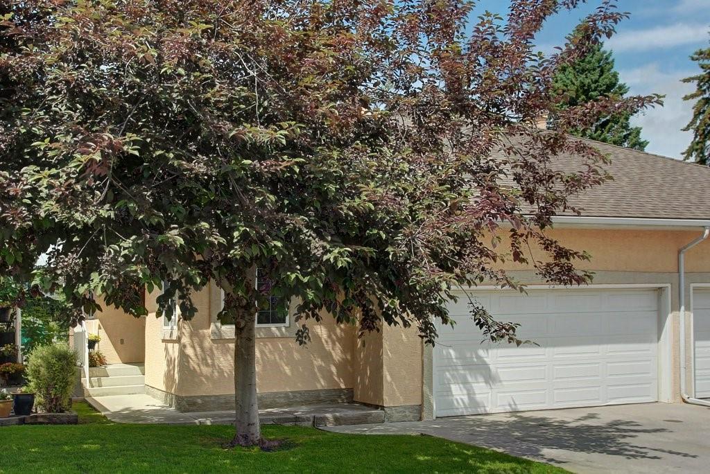 84 Cedarview Mews - Photo 1