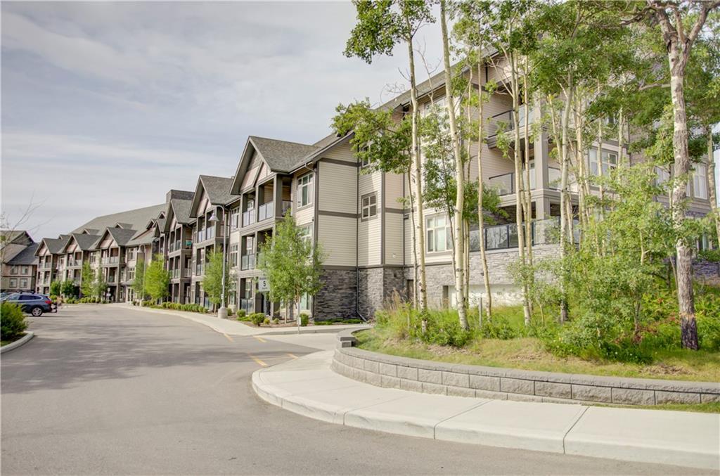 15 Aspenmont Heights - Photo 1