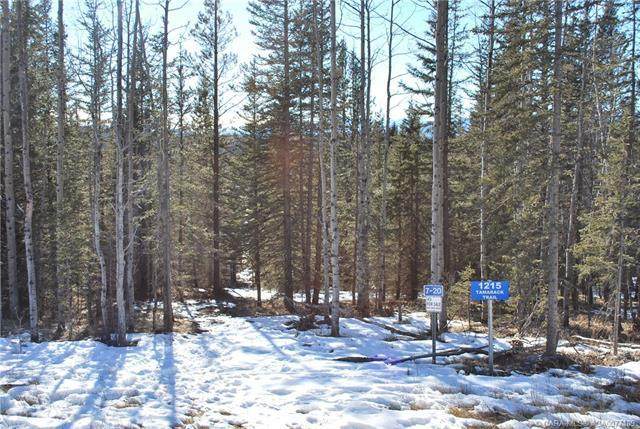 1215 Tamarack Trail - Photo 1