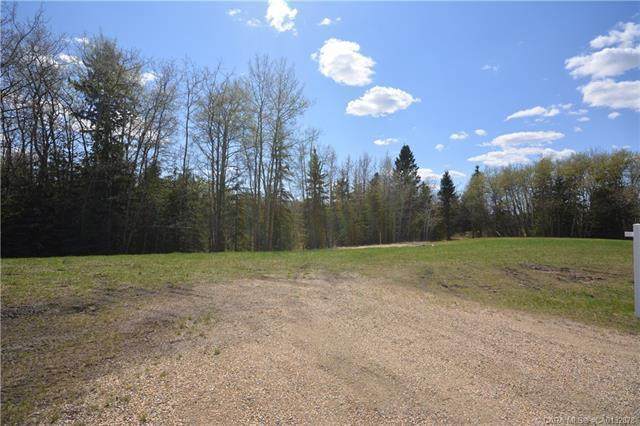 421041 Range Road 260 - Photo 1