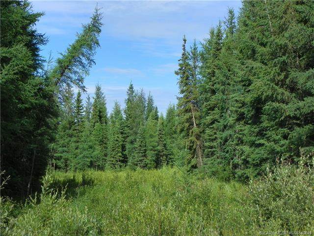 On Range Road 52 - Photo 1