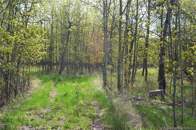ON Highway 815 - Photo 1