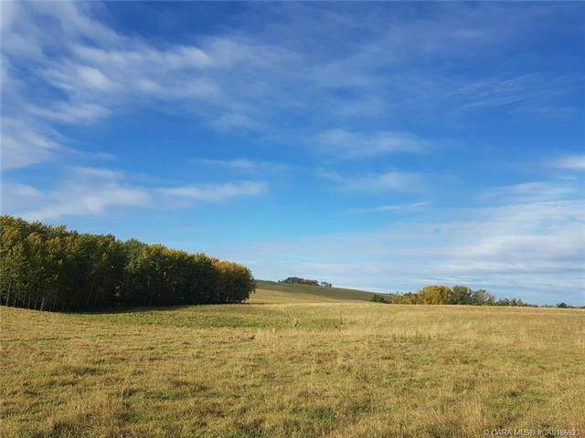 On Range Road 245 - Photo 1
