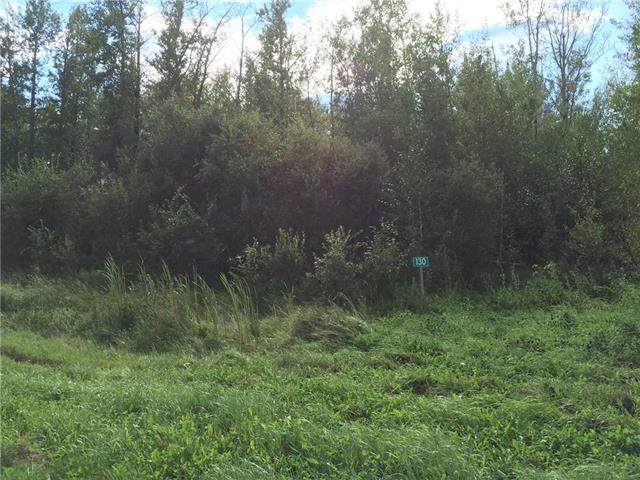 130 67458 Mcgrane Rd - Photo 1