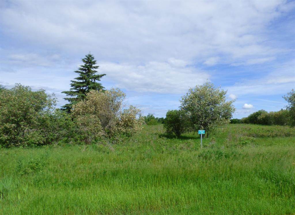 702 13221 Township Road 680 - Photo 1