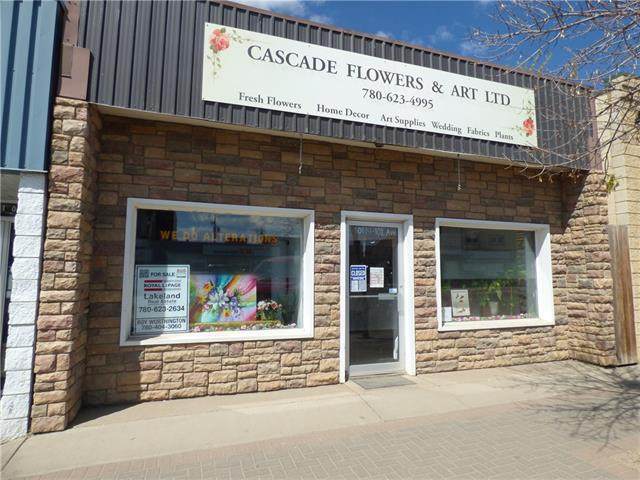 10114 101 AVENUE Avenue - Photo 1