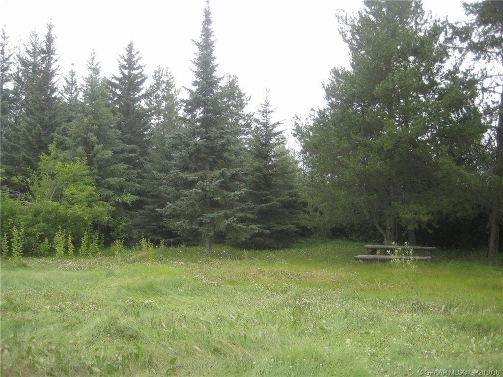 517 4th Avenue - Photo 1