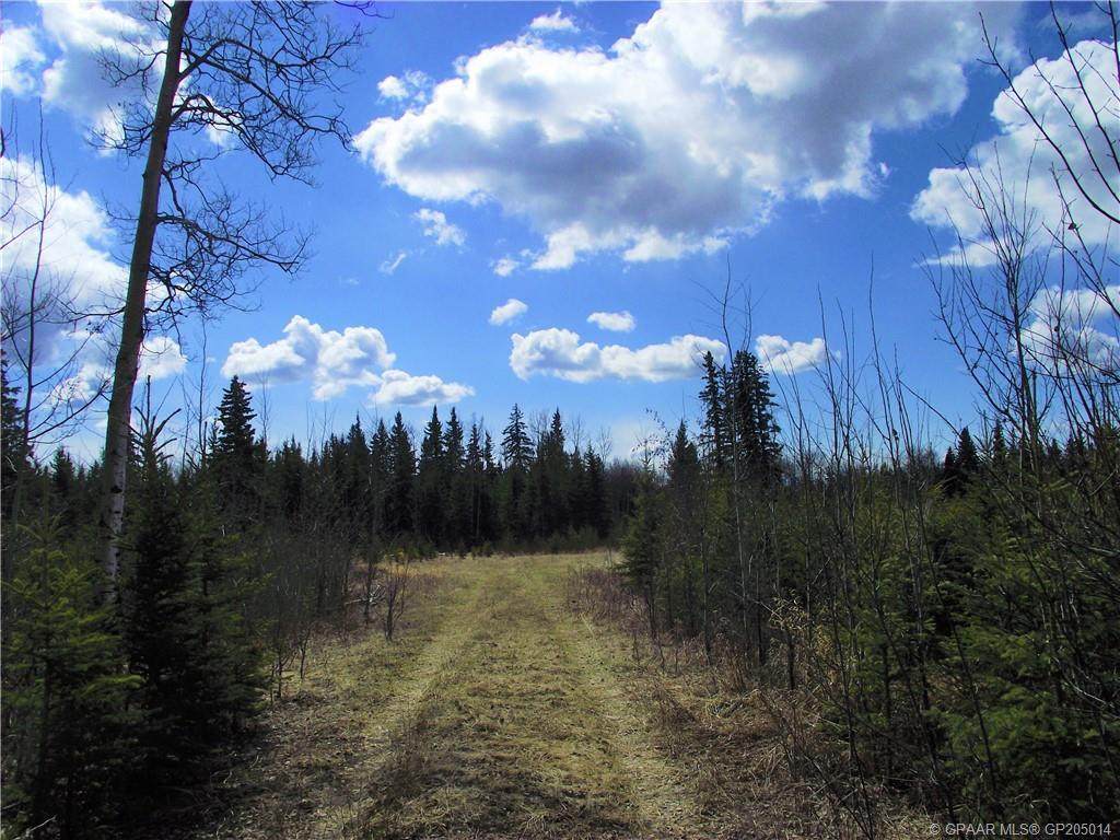 NW-19-81-9-W6 Highway 681 - Photo 1