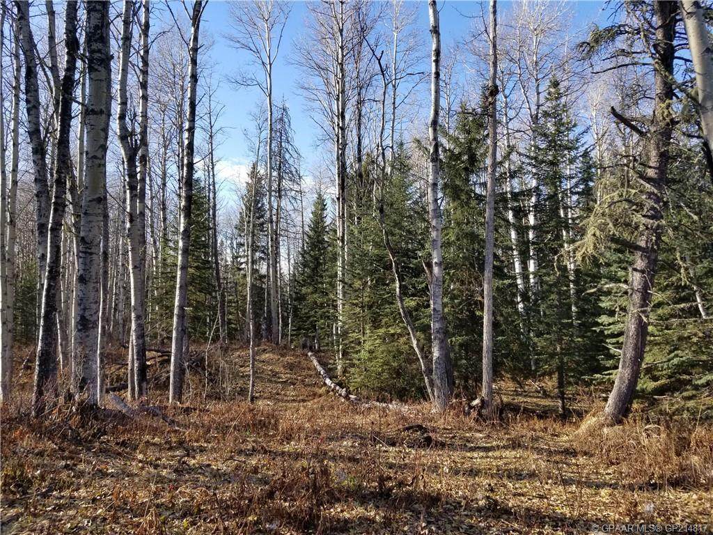 ON Range Road 63 - Photo 1