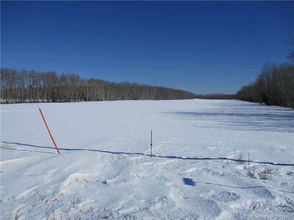 SW-34-90-22-W5 Range Road 232 - Photo 1