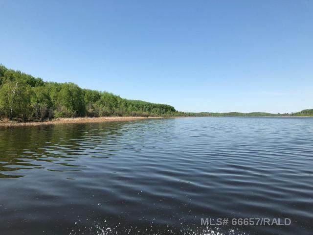 17 Branch Lake - Photo 1