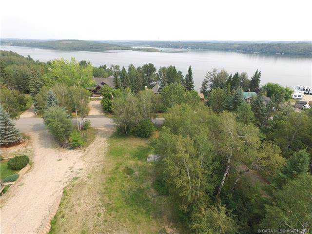 25054 South Pine Lake Road - Photo 1