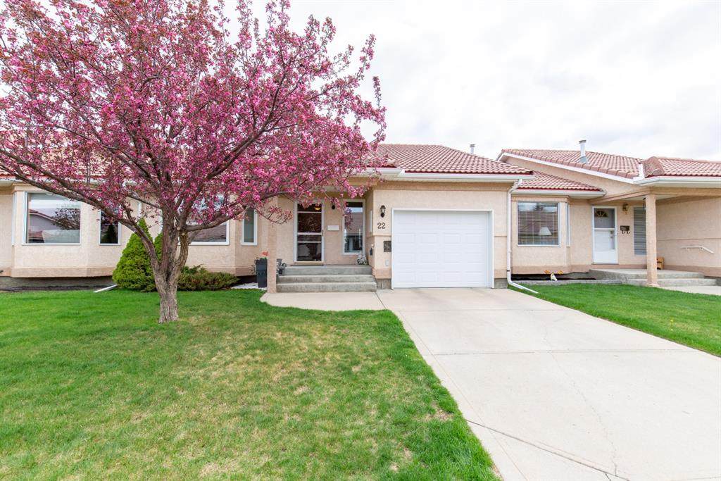 22 Park Meadows Lane - Photo 1