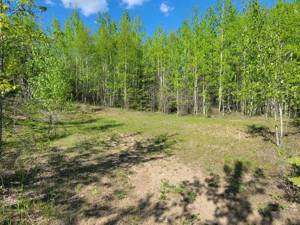 Tawatinaw Drive - Photo 1