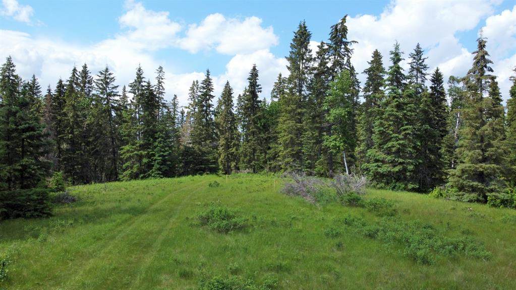 On Range Road 261 - Photo 1
