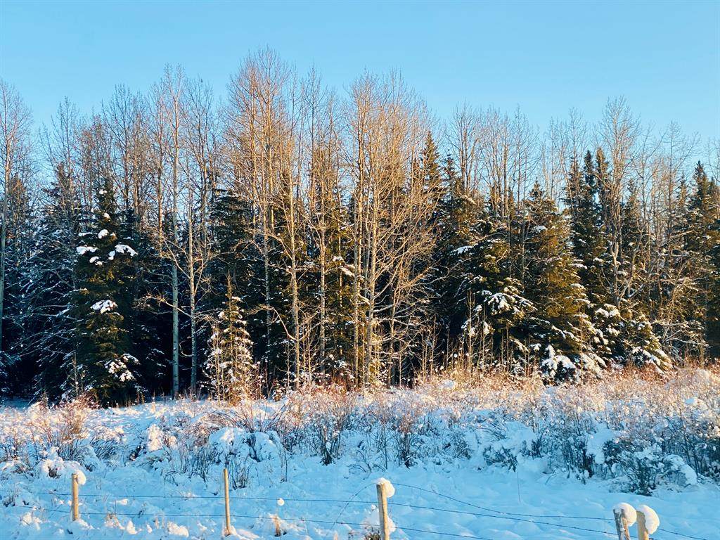 On Township Road 38-4 - Photo 1