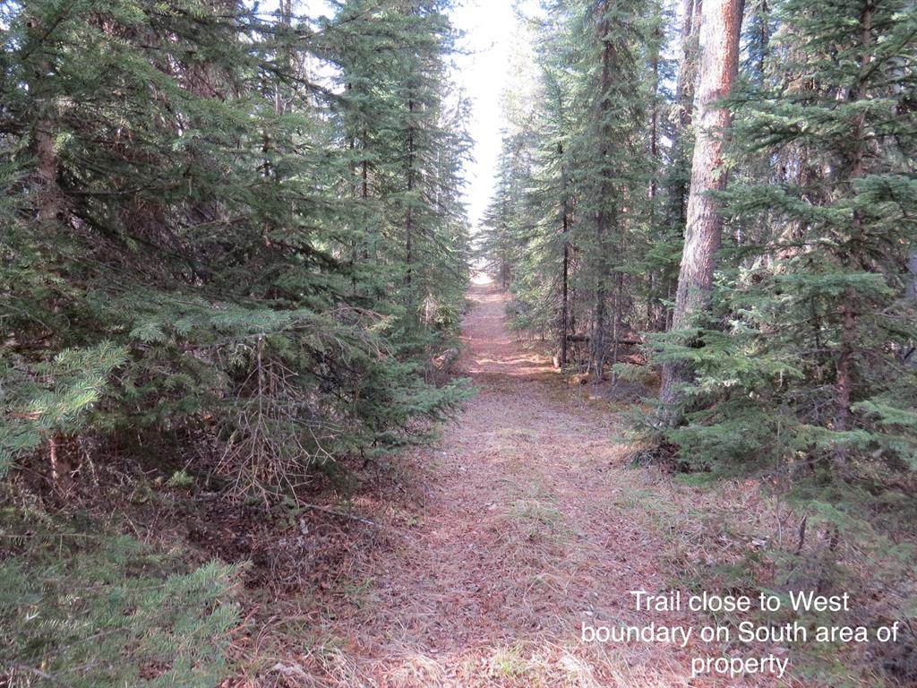 Pine Ridge Drive - Photo 1