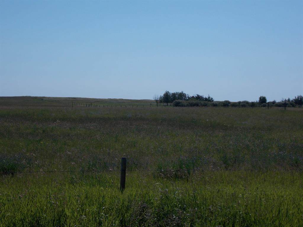 twp rd 31-2 Hiway 36 Road - Photo 1