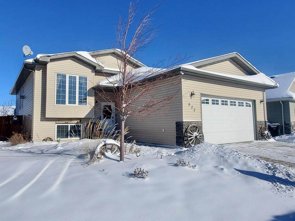 522 Carriage Lane Drive - Photo 1