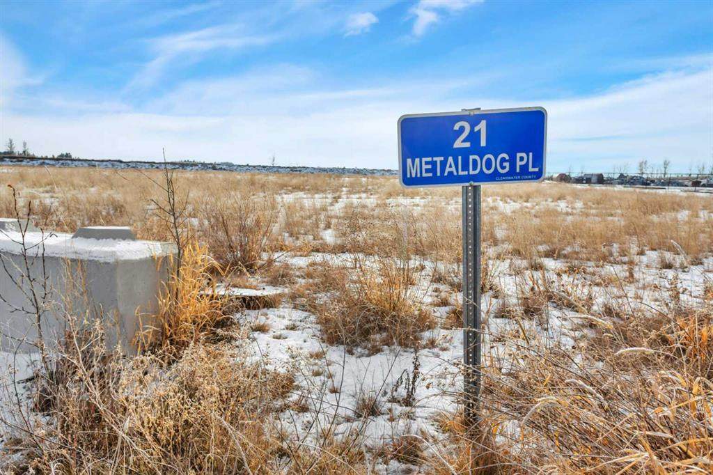 21 Metaldog Place - Photo 1