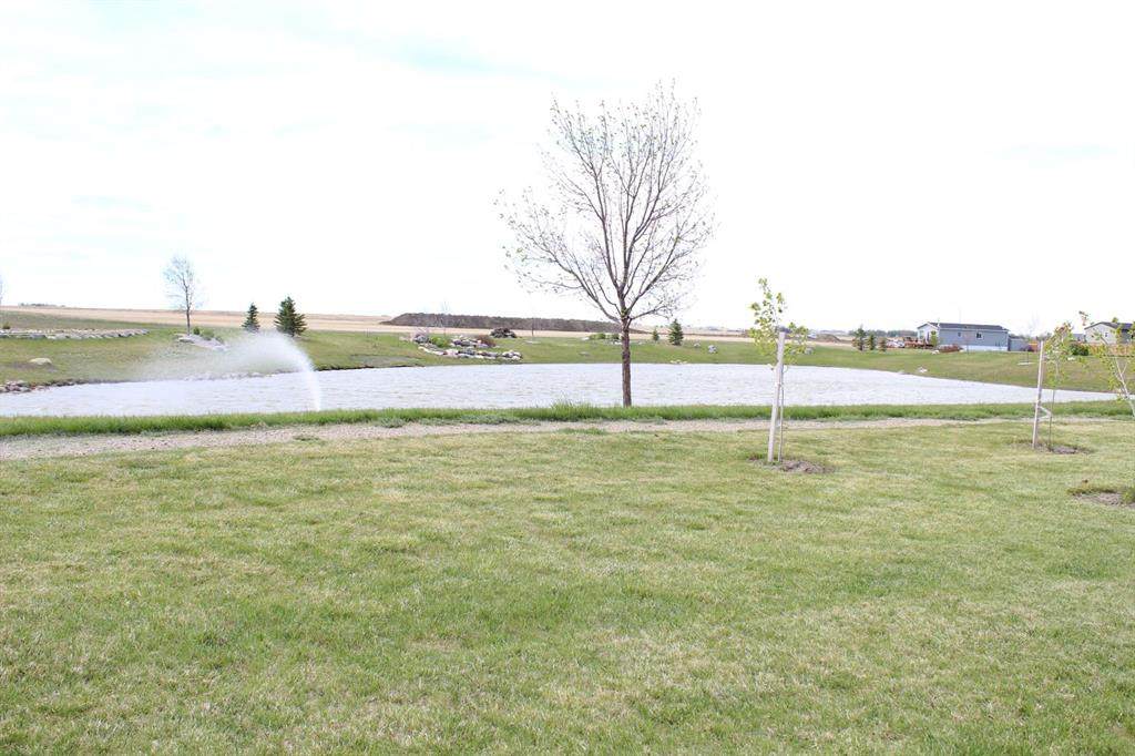 https://bt-photos.global.ssl.fastly.net/calgary/orig_boomver_2_A2187868-2.jpg