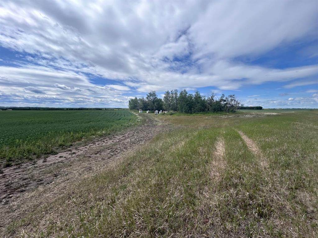 SE-15-73-5-W6 Range  52 - Photo 1