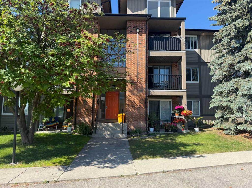 6400 Coach Hill Road - Photo 1