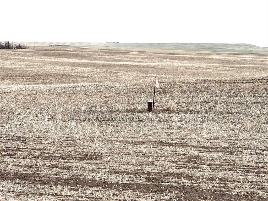  466 Ave E. - Photo 1