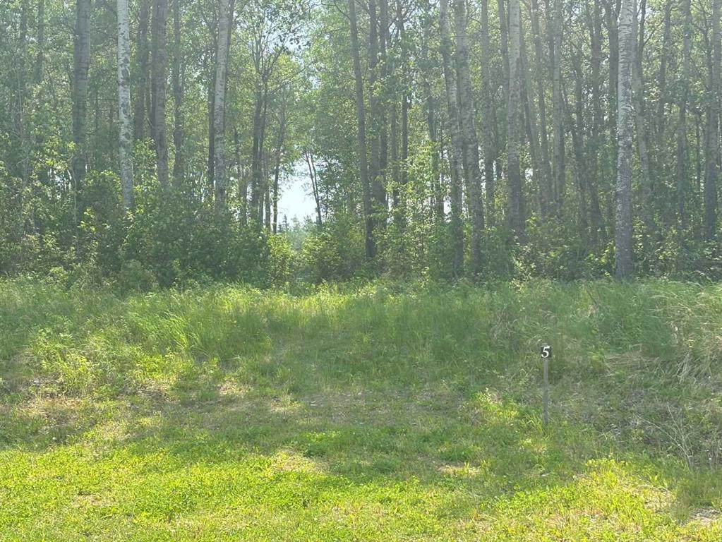 660023 Range Road 224 - Photo 1