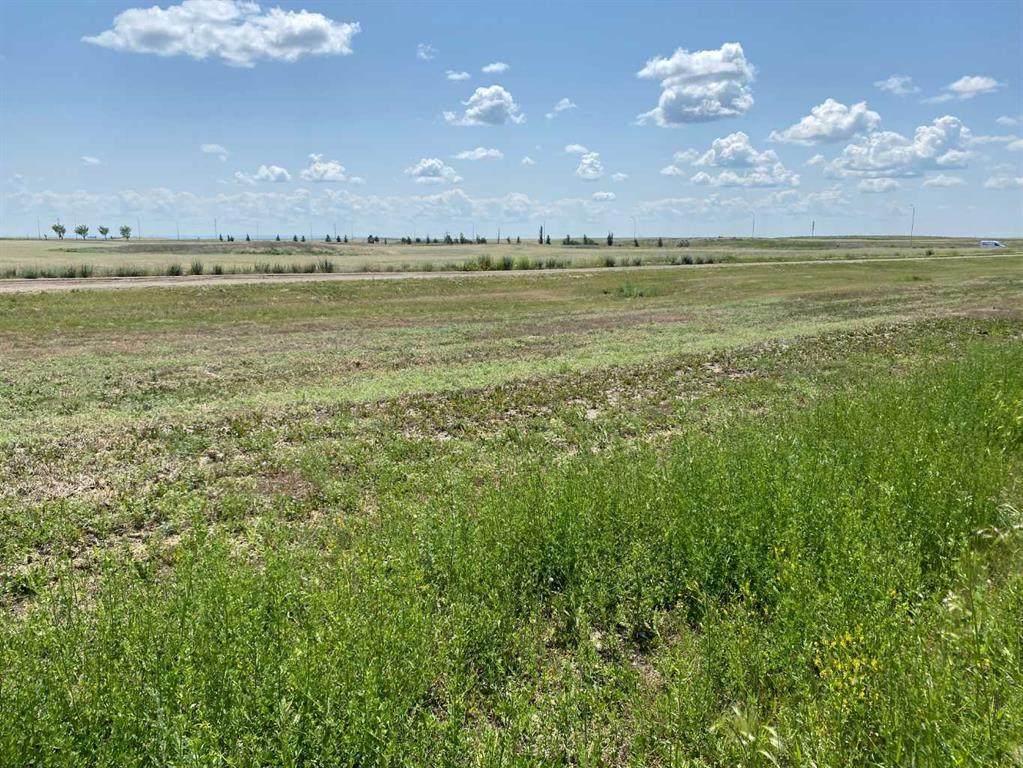 https://bt-photos.global.ssl.fastly.net/calgary/orig_boomver_2_A2233541-2.jpg