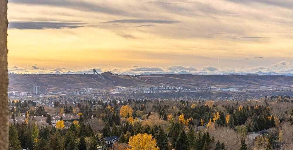 4944 Dalton Drive - Photo 1