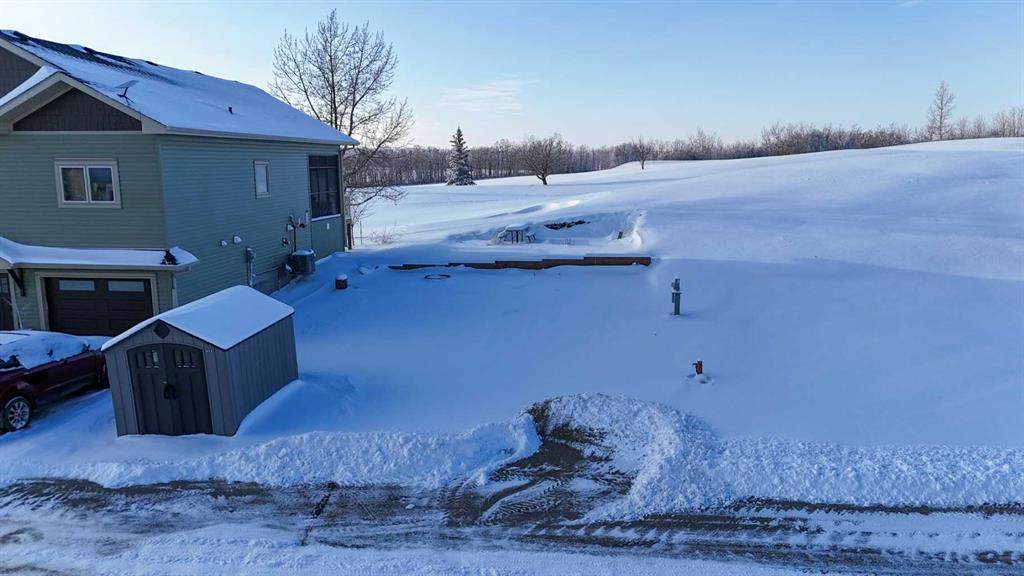 25054 South Pine Lake Road - Photo 1