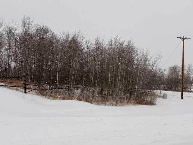 https://bt-photos.global.ssl.fastly.net/calgary/orig_boomver_2_A2288547-2.jpg