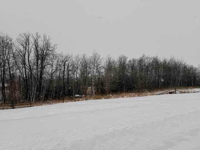 https://bt-photos.global.ssl.fastly.net/calgary/orig_boomver_2_A2288547-2.jpg