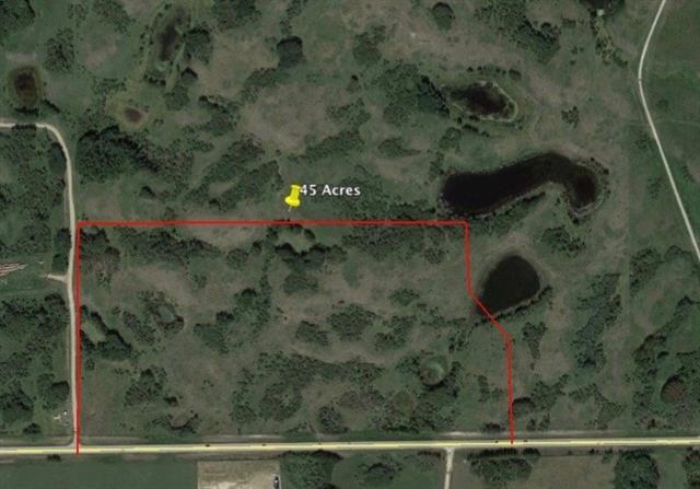 30110 Big Hill Springs Road - Photo 1