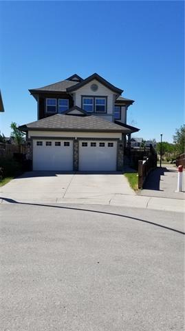 63 Auburn Bay Place - Photo 1